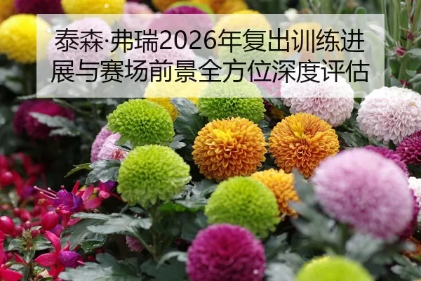 泰森·弗瑞2026年复出训练进展与赛场前景全方位深度评估